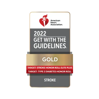 get with the guidelines gold stroke 2022 award seal