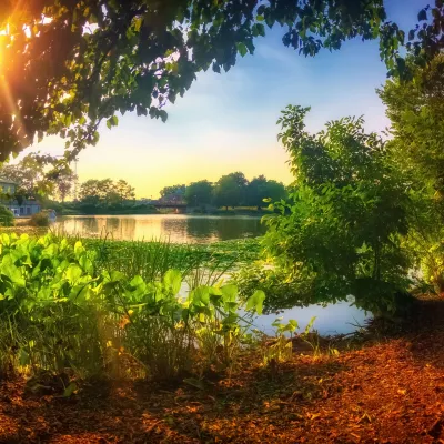 outdoor photo of a park with a lake 