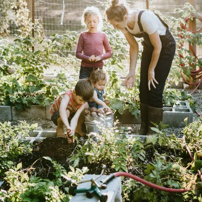 A family gardening together. 