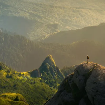 Spiritual Simplicity