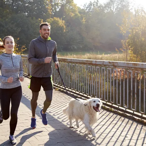 A couple running with their dog