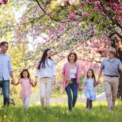 A family walking through a spring environment while holding hands