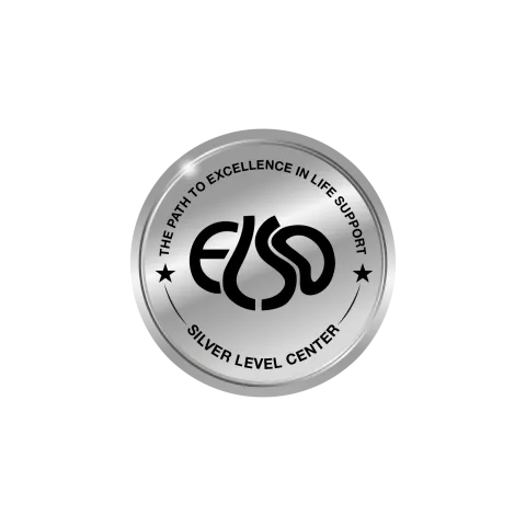 ELSO.Silver award