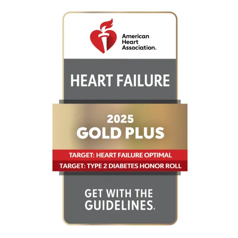 GWTG_THF OPT-TT2D_PLUS_2025_GOLD_4C