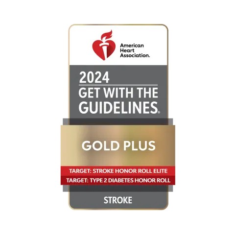 American Heart Association 2024 Get with the Guidelines Stroke Gold Plus for stroke.