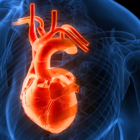 al-chekakie-faq-afib