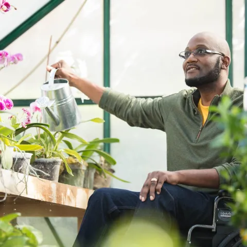 Man in a wheelchair in a greenhouse water a planet wide shot.