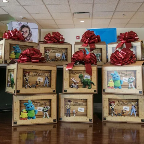 Disney Toy Delivery