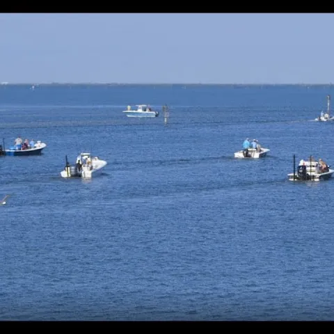 AdventHealth West Florida Foundation Fishing Tournament