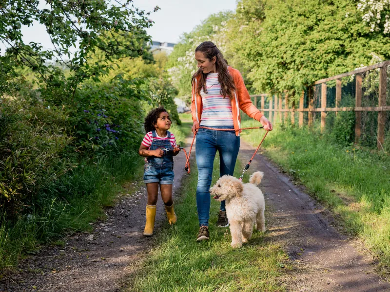 A Mother and Daughter Walk Their Labradoodle on a Country Road.