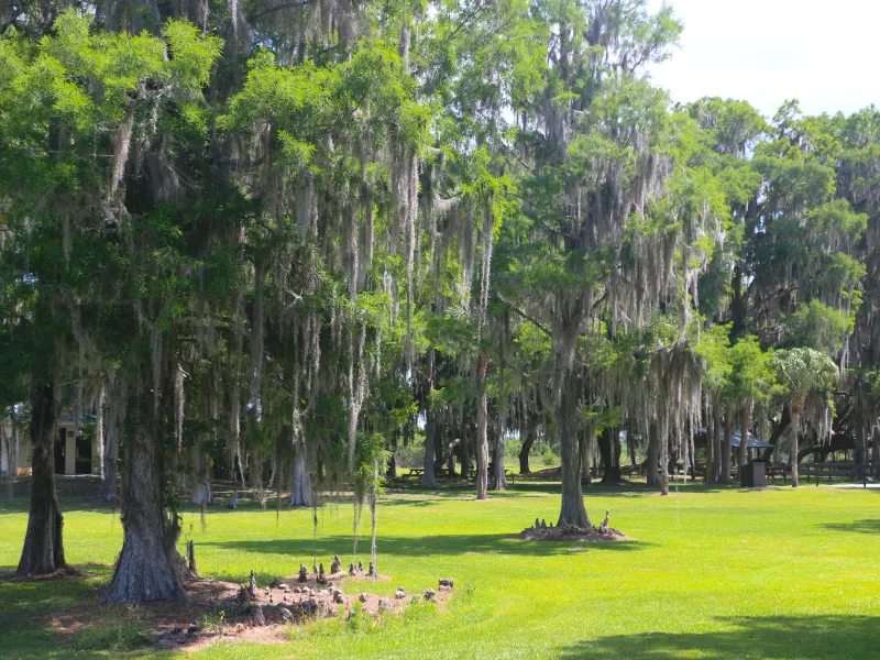 Lake Istokpoga State Park in Sebring, Florida. 