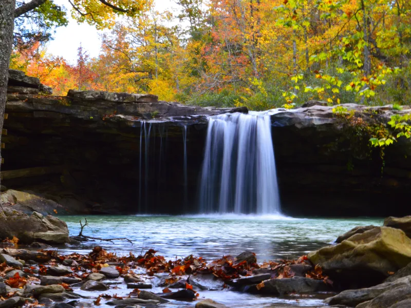 a waterfall in the fall