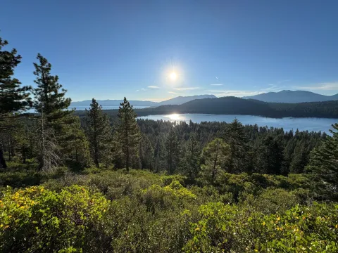 Trees and greenery with lake, mountains and sun in the distance