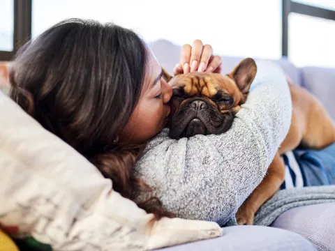 Woman laying on a couch hugging and kissing her fawn colored french bulldog