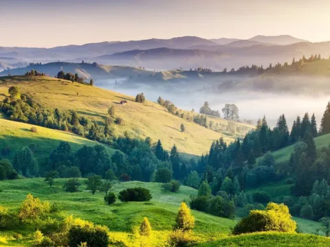 Landscape with Trees and Houses