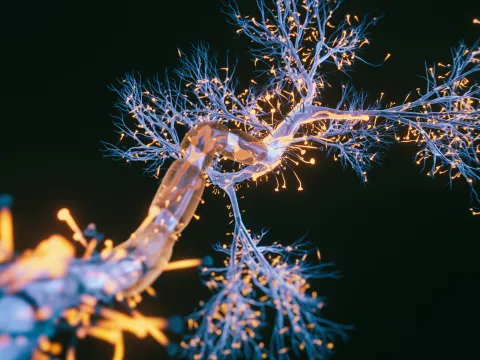 Image of an ALS Diagnosis Neuron