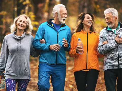 Two Senior Couples Walk Arm-In-Arm Through the Woods.