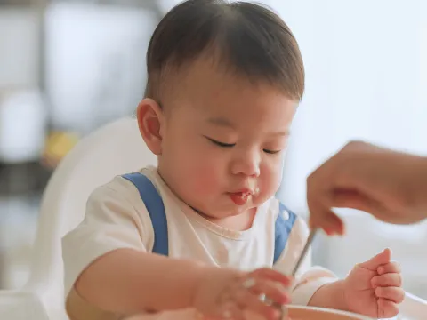 A Baby in a High Chair Being Spoon Fed