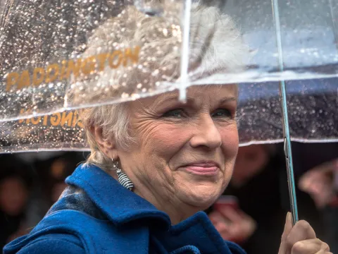 Actress Julie Walters