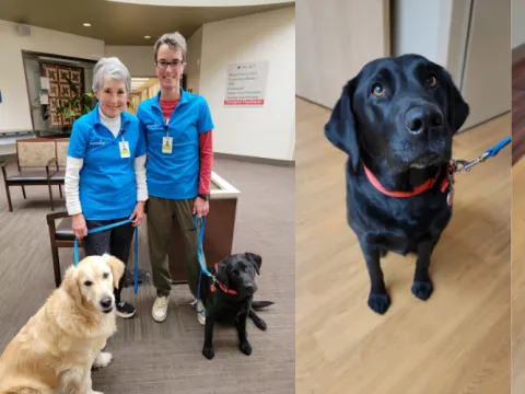 Photo of volunteers Sandra Daniell and Megan Hurt with their dogs