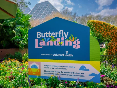 EPCOT Flower and Garden Festival Butterfly Landing
