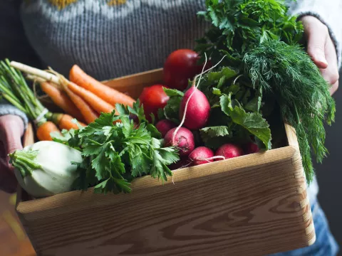 A person holding a box of vegetables