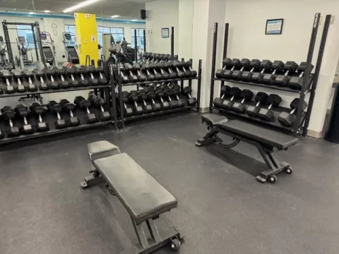 HealthFit Gym Free Weights 