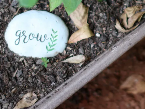 Grow stone in garden mulch