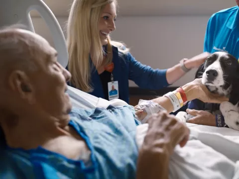 Human Spirit - The Pursuit