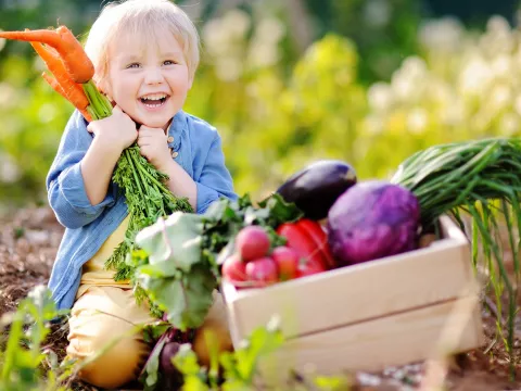 Happy child in a vegetable garden.