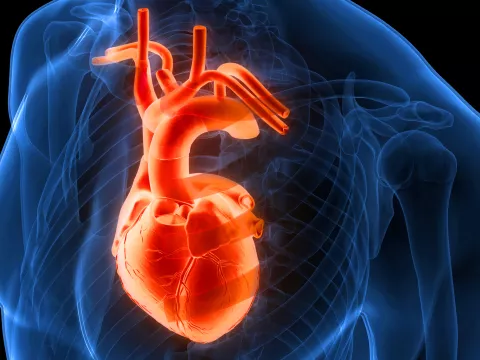 al-chekakie-faq-afib