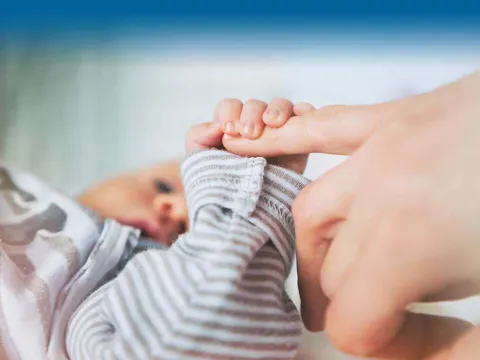 Baby holding adult finger