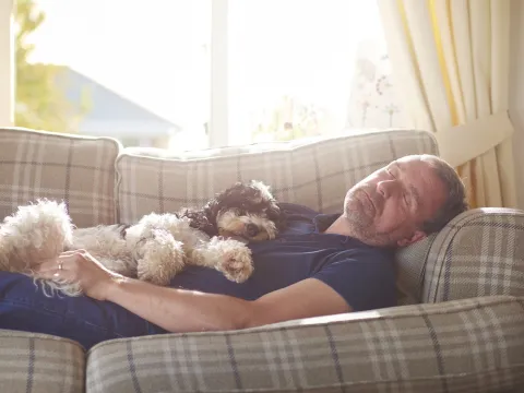 Man napping on a couch with a dog.