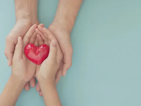 stock photo of a heart