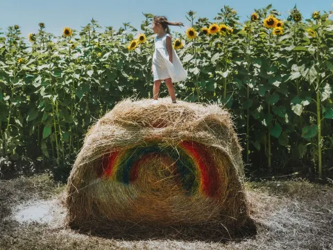 A little girl standing on top of a bale of hay in a field of sunflowers.