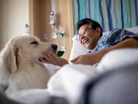 A male patient petting a therapy dog while laying in a hospital bed.