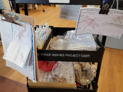Three wishes project cart