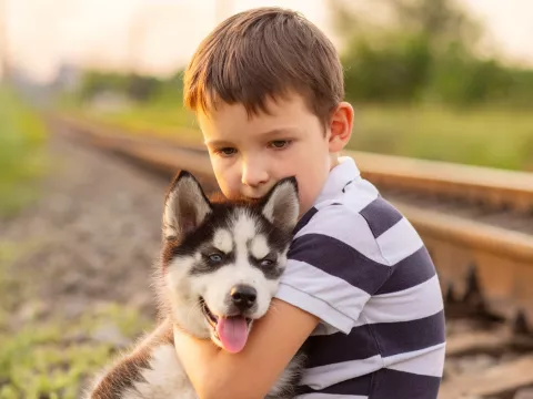 A young boy holding a husky puppy.