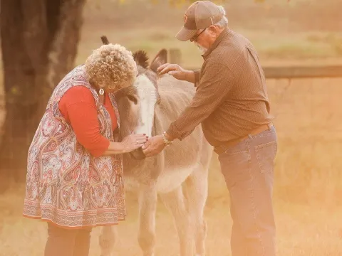 AdventHealth Gordon - Jim's Story