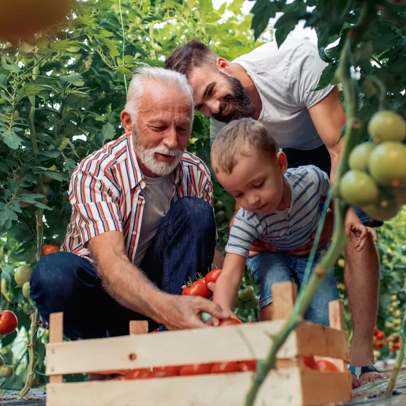 Family Gardening