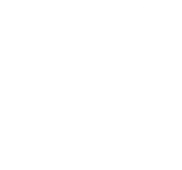 The logo of the hockey team, The Tampa Bay Lightning