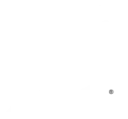 Tampa Bay Lightning logo in white.