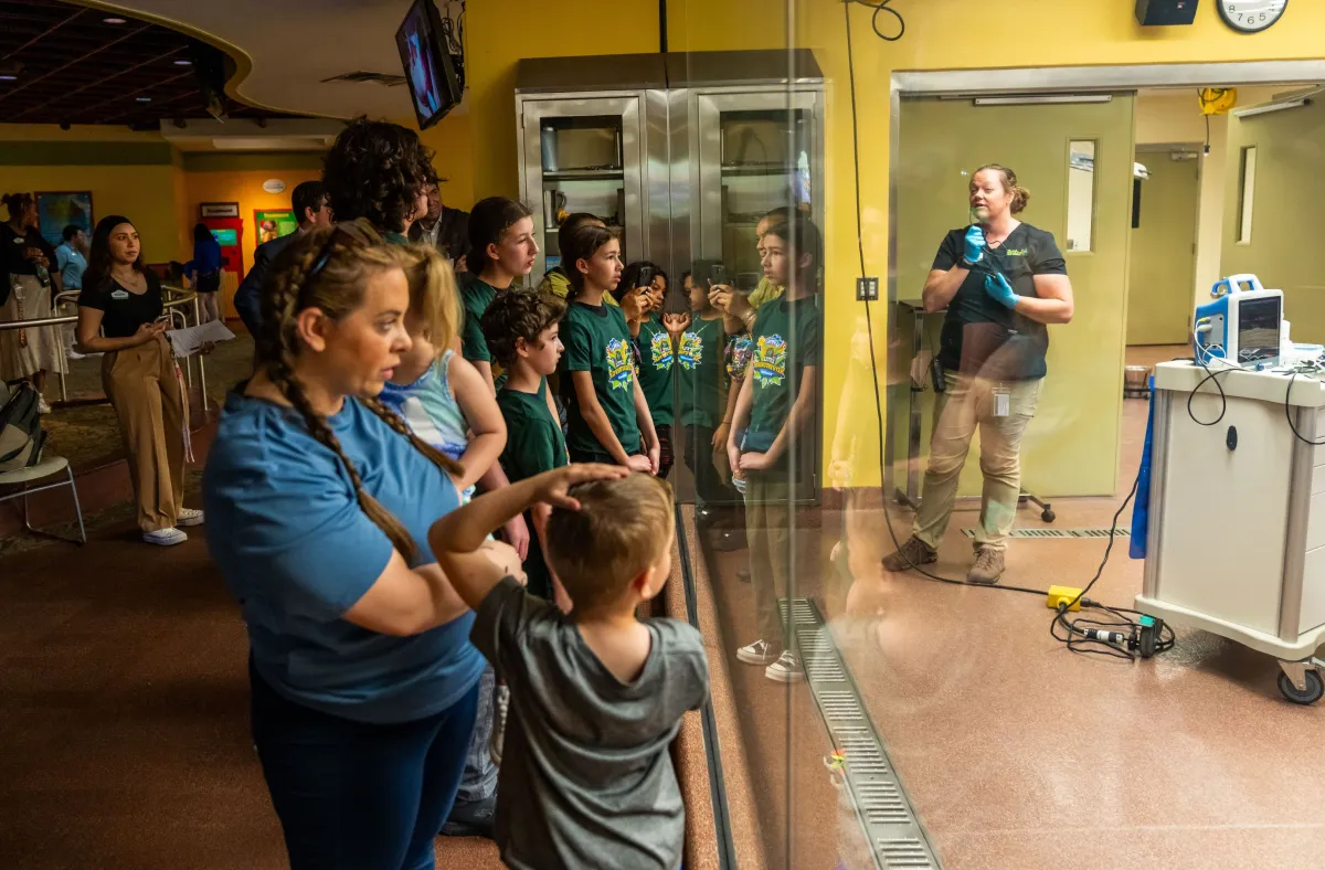 Little Adventurers seeing a sloth checkup