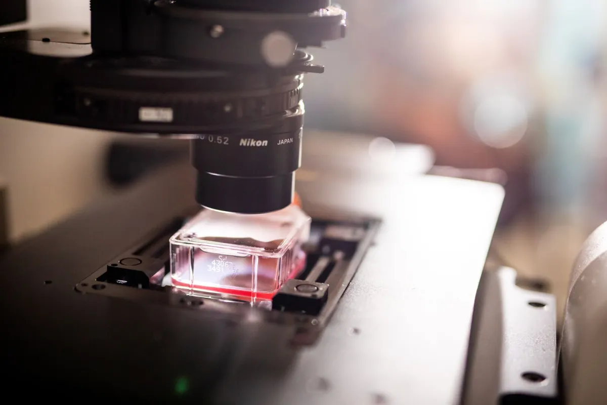 Destined for the International Space Station, the tissue samples may provide clues to helping people stay stronger longer. 