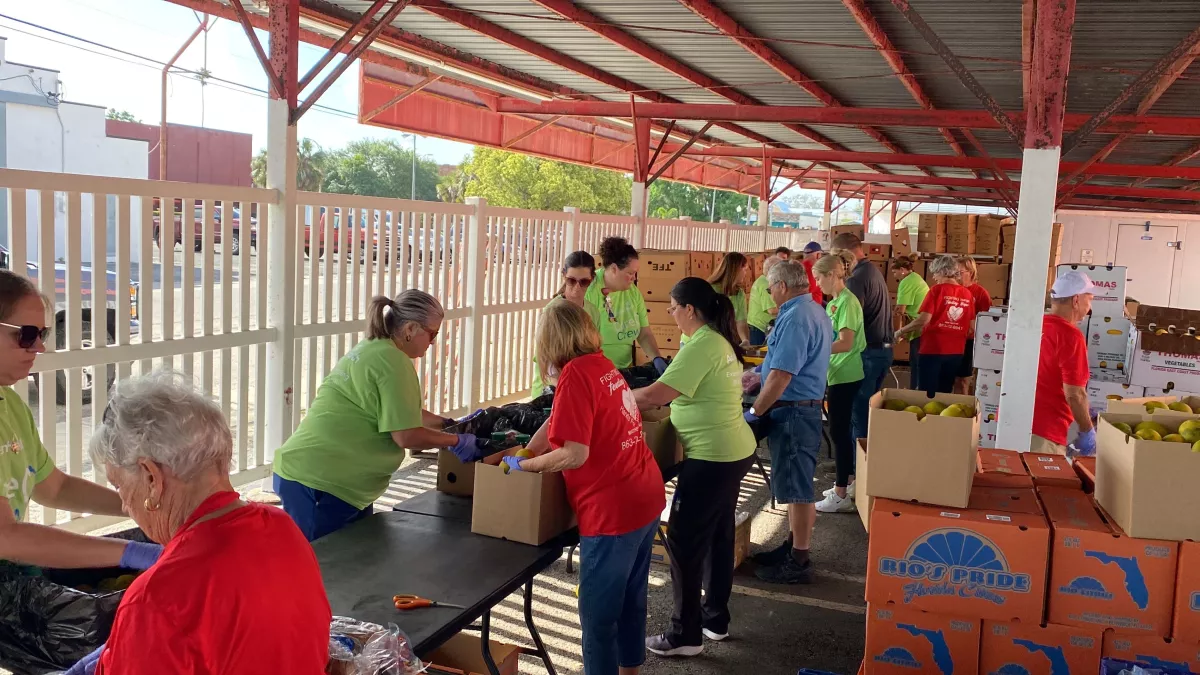 Organizers said all the food and drinks boxed up by dozens of volunteers would feed hundreds of people.