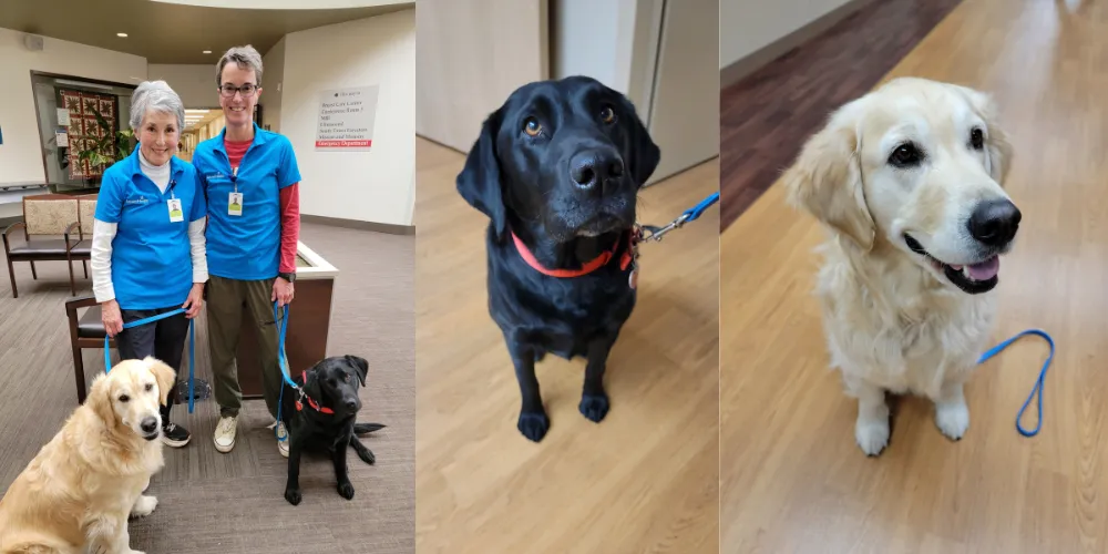 Photo of volunteers Sandra Daniell and Megan Hurt with their dogs