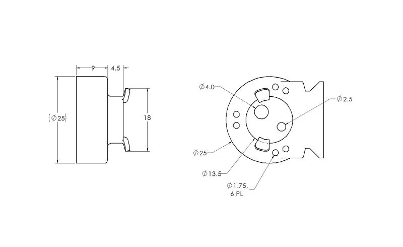 Sketch of ampullectomy model