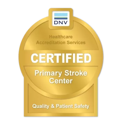 DNV Certified Primary Stroke Center logo